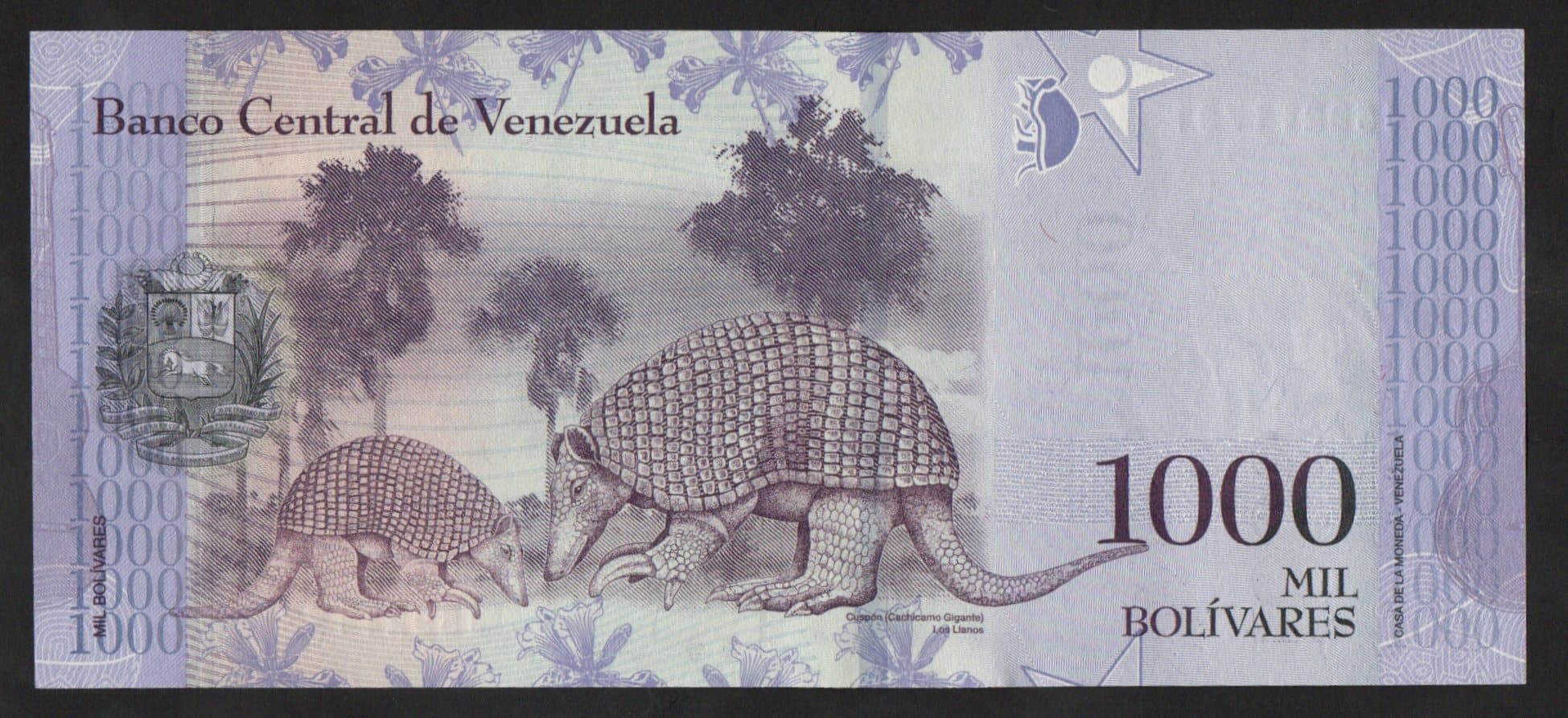 P#95 - 1000 BOLIVARES - 2017 - Imagem 2